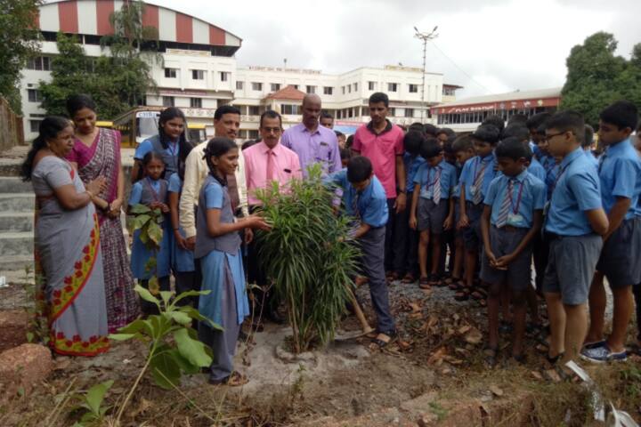 Christ King Pre-University College-Plantation