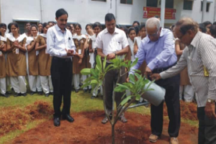 SVIC Jnanodaya Pre University College-Plantation