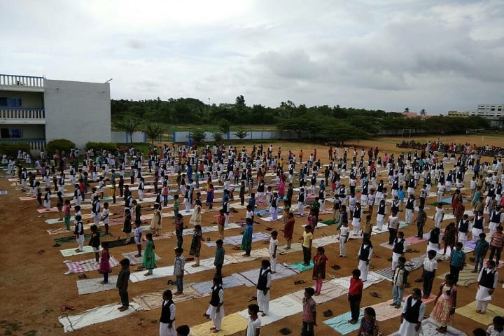 DVS Pre University College-Yoga