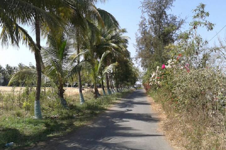 DR R P NATH Junior College-Campus Entrance