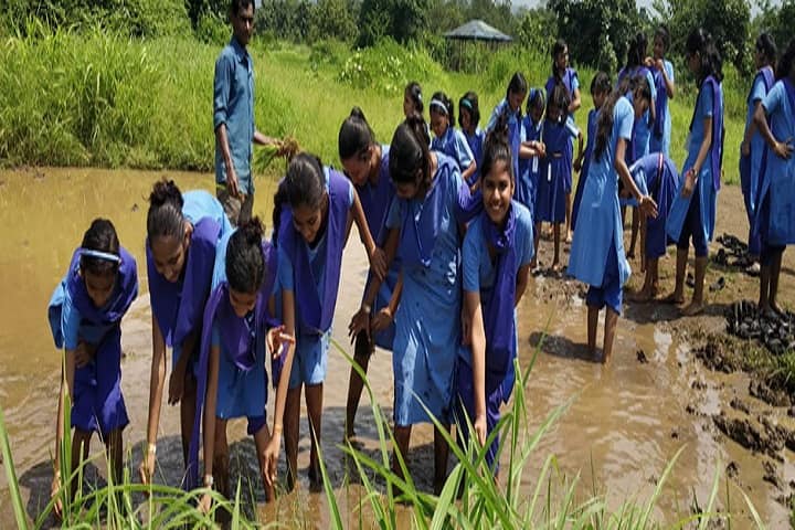 IIT Campus School and Junior College-Tree Plantation