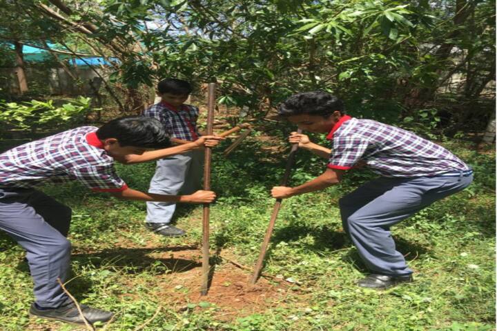 Kendriya Vidyalaya-Tree Plantation