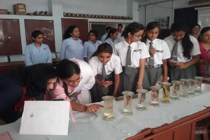 Dharampeth M P Deo Smruti Science Junior College-Lab