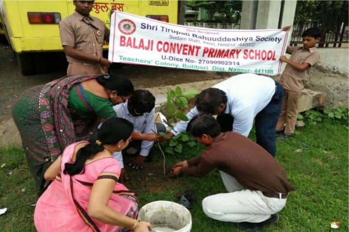 Balaji Convent Junior College-Tree Plantation
