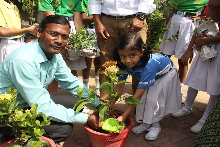 St Vincent Pallotti School-Plantation