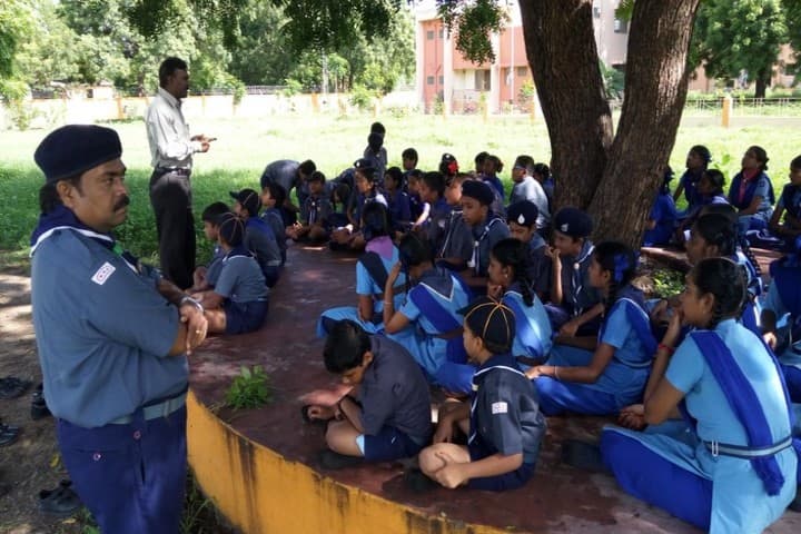 Kendriya Vidyalaya-Scouts And Guides