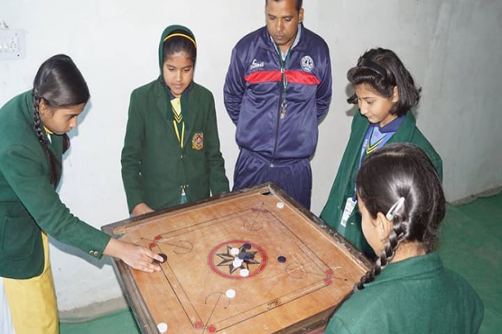 Delhi Public School - indoor games