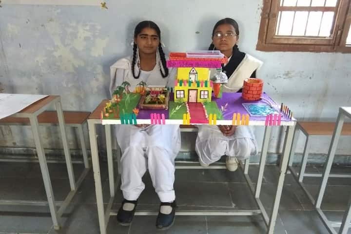 Government Girls Senior Secondary School - Art & Craft