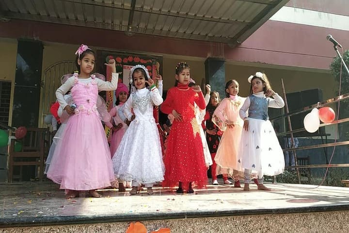 C R S Senior Secondary School-Fancy dress