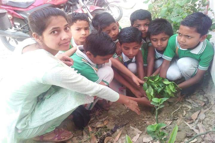 Bright Career S.S. Inter College- Tree Planting