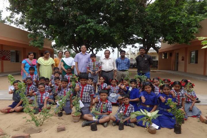 Kendriya Vidyalaya-Plantation