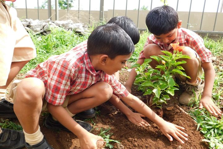  Kaveri International School-Tree Planting