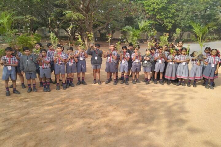 Kendriya Vidyalaya-Plantation