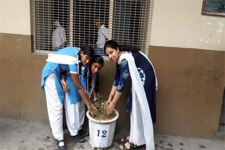 Arwachin Bharti Bhavan Senior Secondary School-Plantation