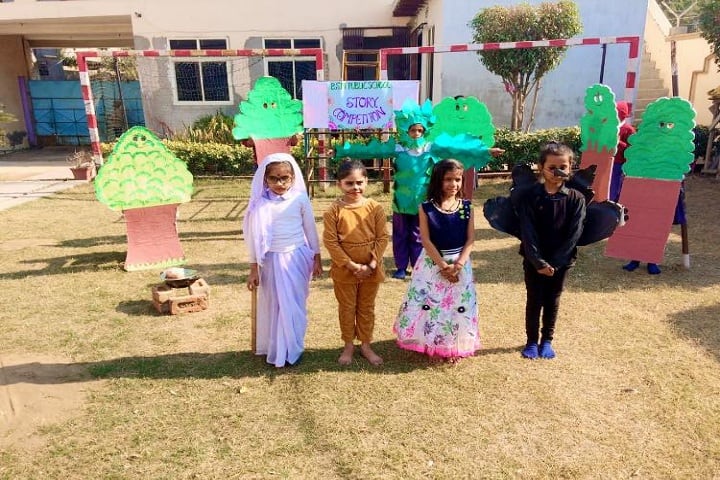 BSM Public School-Fancy Dress