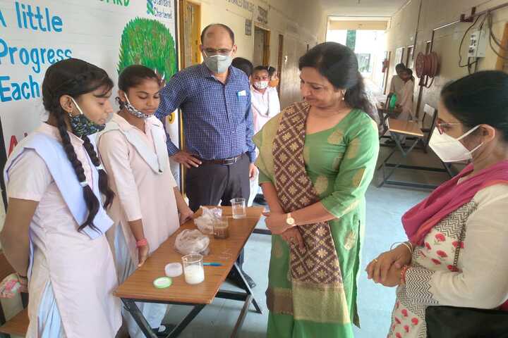 Government Model Sanskriti Senior Secondary School-Science Exhibition