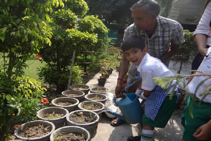 Bhatnagar International School-Tree Plantation