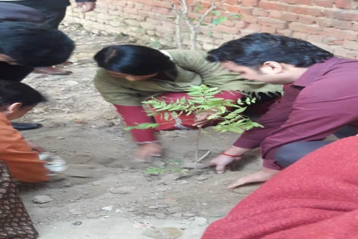Bidhan Chandra Vidyalaya Senior Secondary School- Rain Water Harvesting