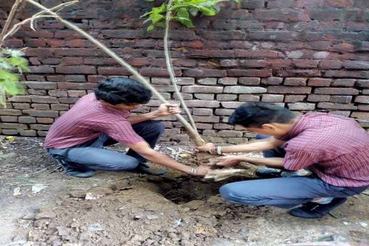 Bidhan Chandra Vidyalaya Senior Secondary School-Activities