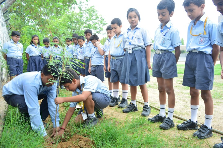 Chinmaya Vidyalaya Senior Secondary School-Tree Plantation