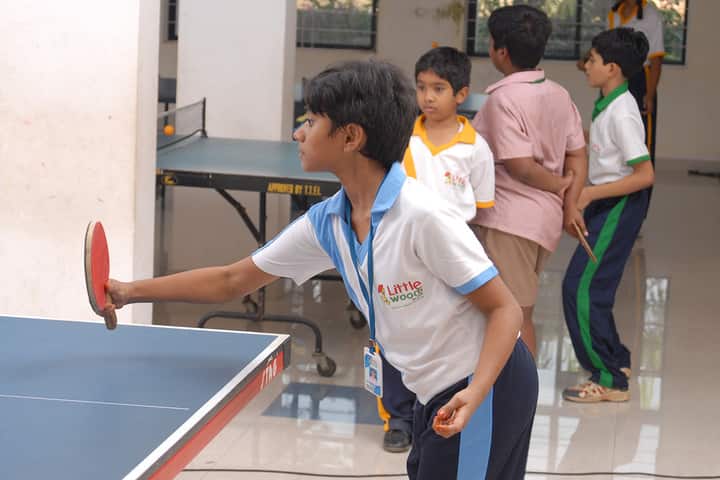 Little Woods School-Indoor Games
