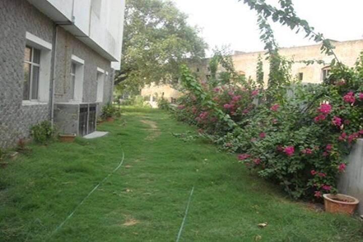 D C M Boys Senior Secondary School-Garden