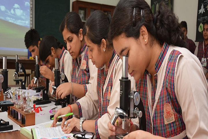 Darbari Lal DAV Model School-Science Lab