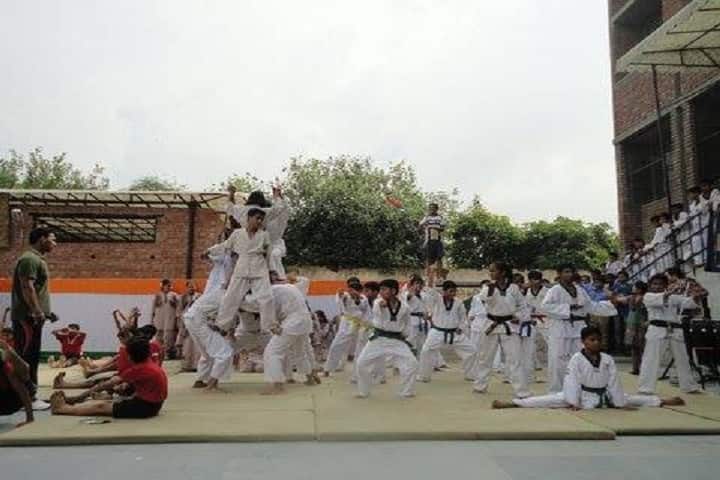 DAV Ashok Vihar-Arts