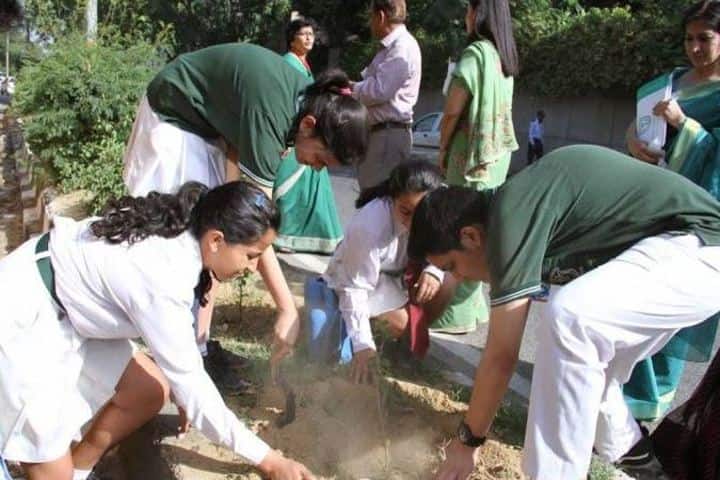 Delhi Public School-Tree Plantation