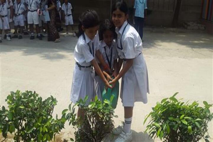 Delhi Public School-Tree Plantation