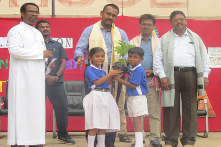 Montfort School-Plantation