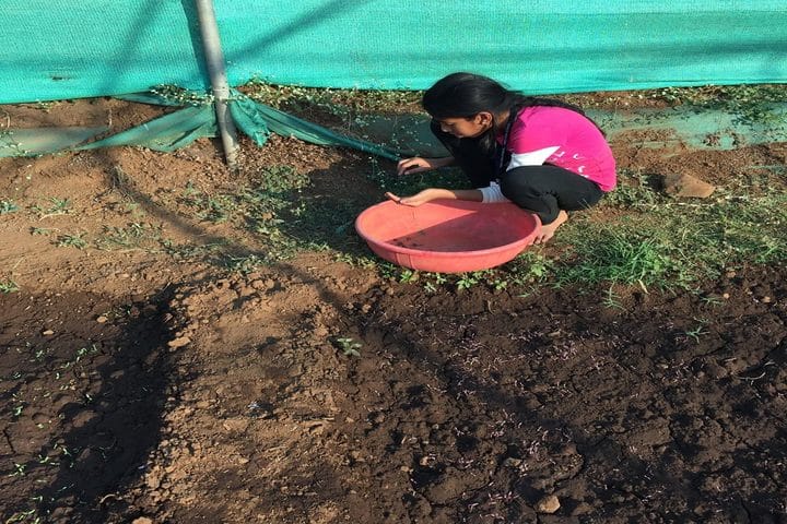 Pebble Creek Life School-Plantation