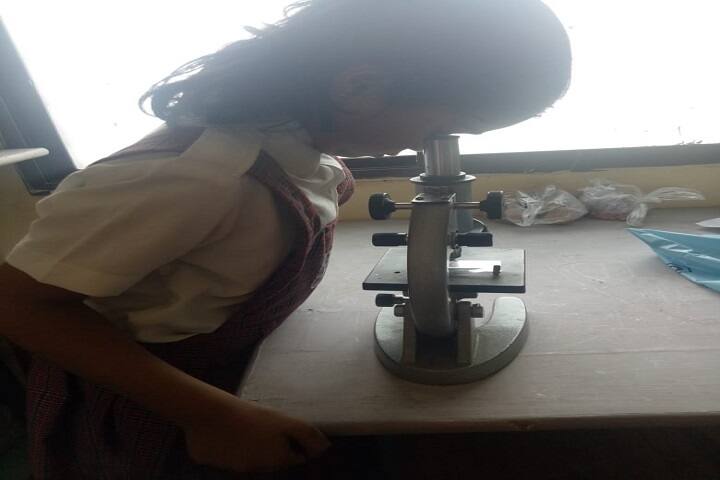 Rainbow Public School-Biology Lab
