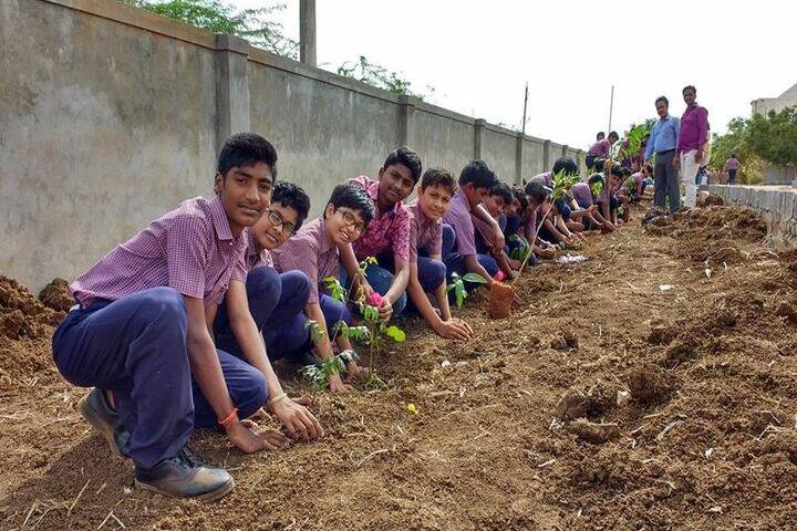 Ramireddy Subbaramireddy International School-Tree Plant