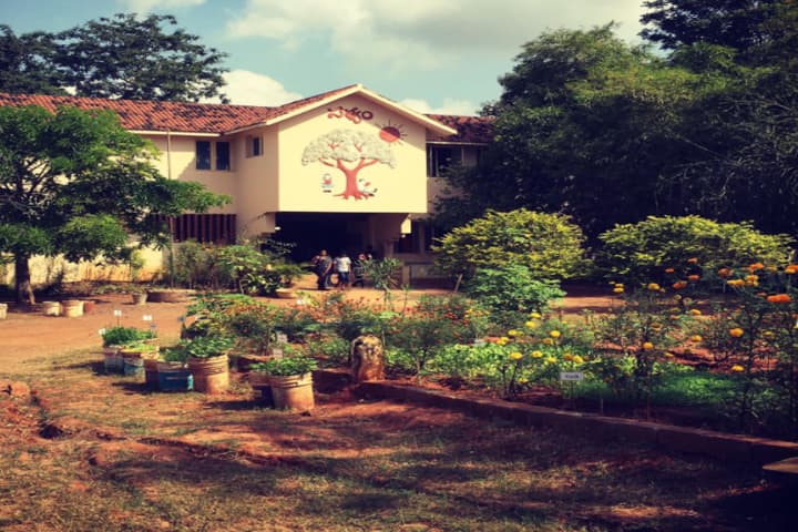 Vikasa Vidya Vanam School