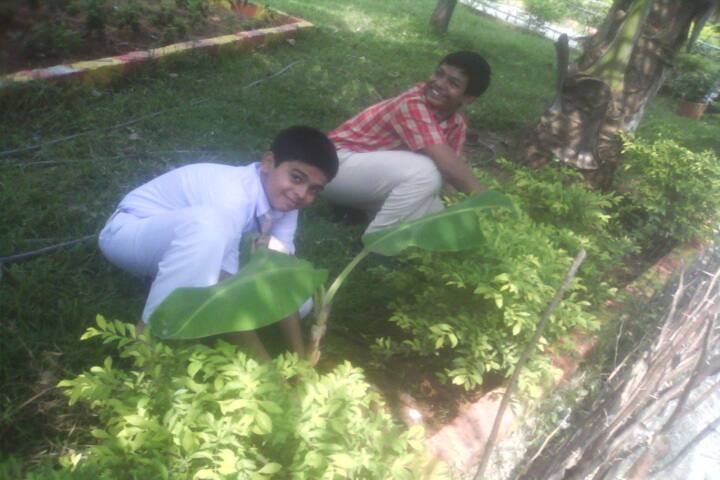 Silver Bells Central School-Tree Plantation
