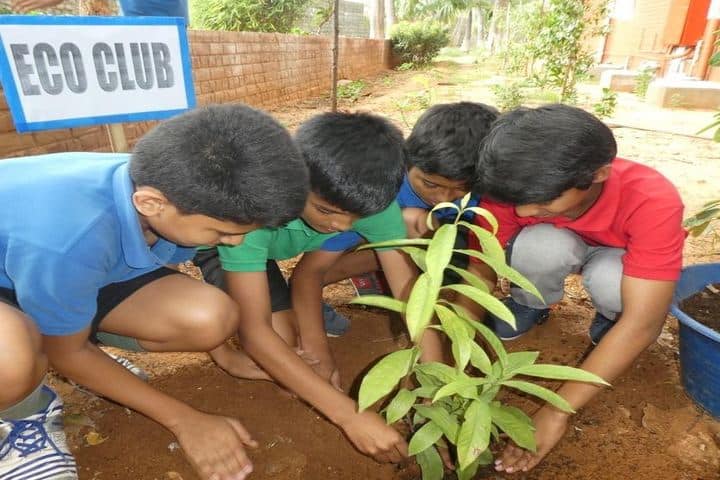 Sree Vidya Nikethan International School-Tree Plantation