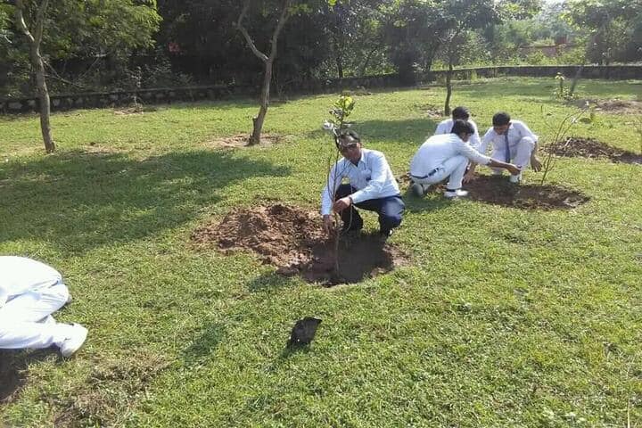 Government Co-Educational Sarvodaya Vidyalaya-Tree Plantation