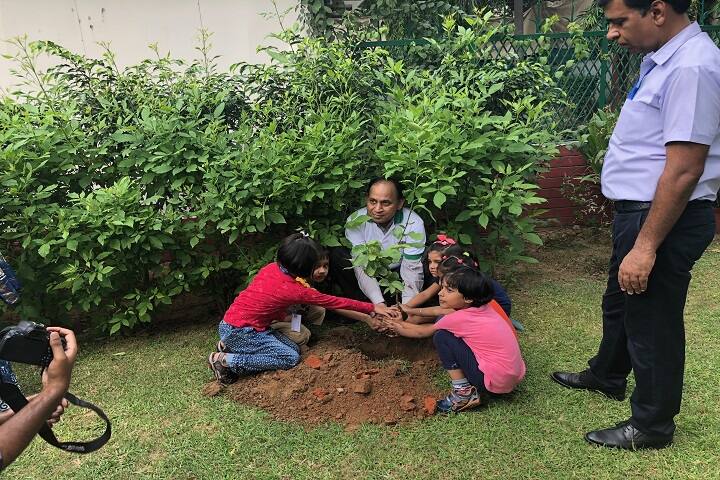 Gyan Bharati School-Plantation