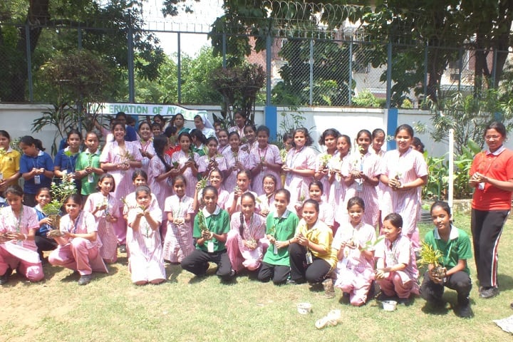 Holy Child Auxilium School-Plantation