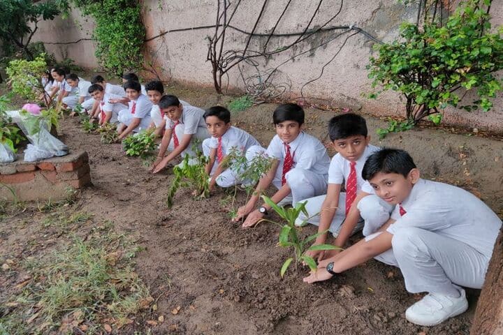 Jinvani Bharti Public School-Plantation
