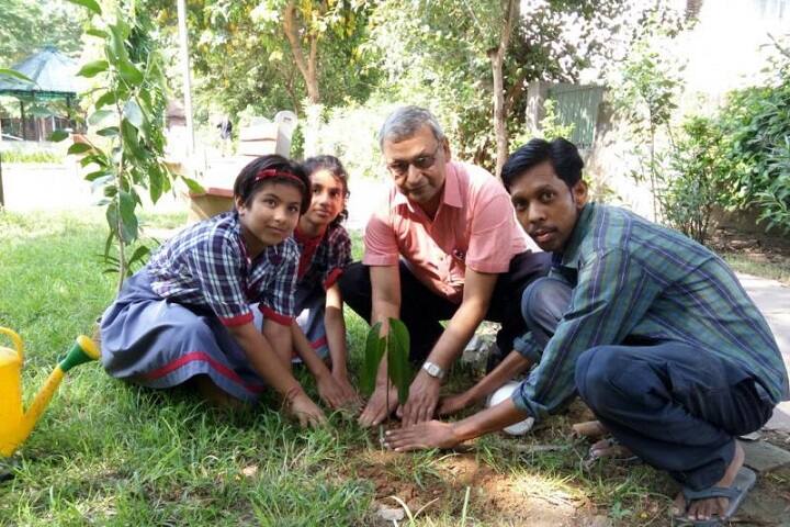 Kendriya Vidyalaya-Plantation