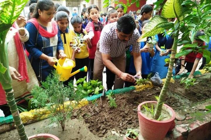 Kendriya Vidyalaya-Plantation1