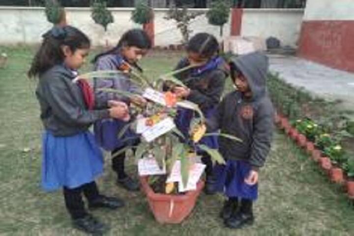 kendriya vidyalaya-Plantation