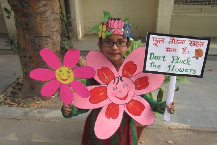 Kendriya Vidyalaya-Activity