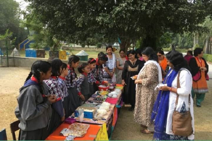 Kendriya Vidyalaya-Exhibition