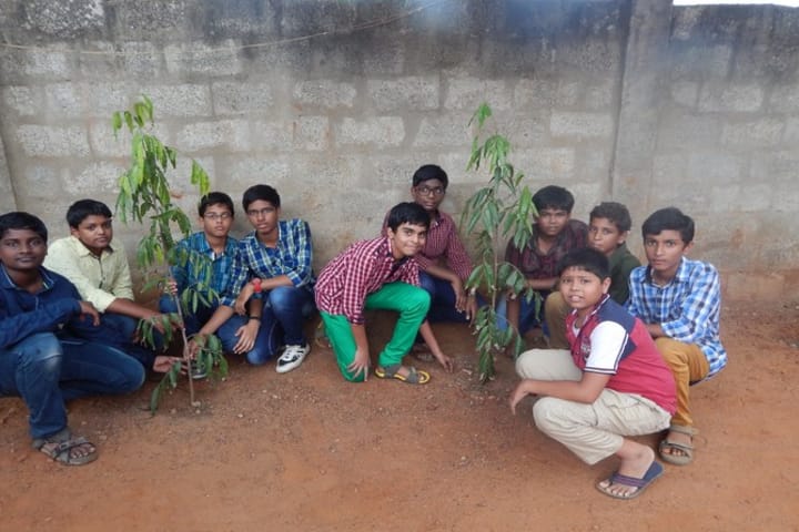 St John s English Medium High School-Tree Plantation