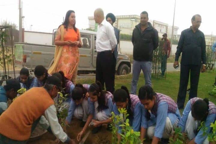 L K International School-Plantation