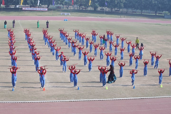 Little Flowers Public Senior Secondary School, Shahdara-Activity2