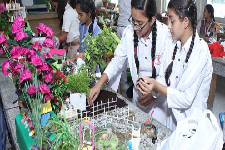 Mata Jai Kaur Public School-Science fair